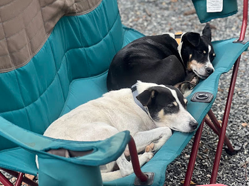 Personalized, Family-Owned Service