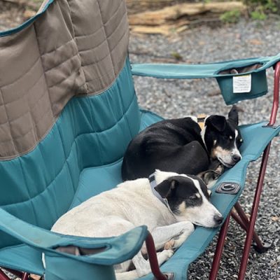 MadCoTubing-500x500_0000_Layer 11