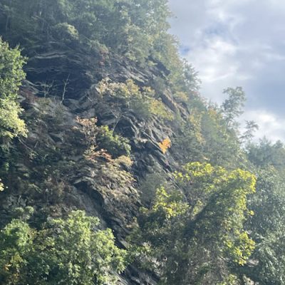 MadCoTubing-500x500_0004_Layer 7