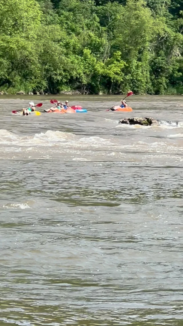 Just another amazing group of adventure tubers living their best lives! #youotterbetubing #madcotubing #marshallnc  #madisoncountync #adventuretubing #tubingfun